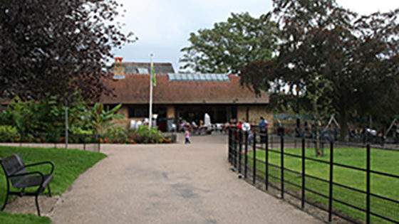 Pistachios in the Park is a chain of welcoming cafés in local parks throughout London and the south East. Our child friendly cafés offer a wonderful menu.